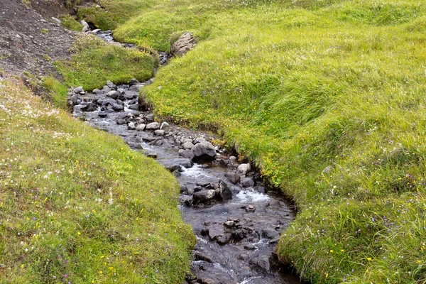 Vale Verde Islândia Grama Verde Flores Silvestres Pequeno Belo Rio — Fotografia de Stock