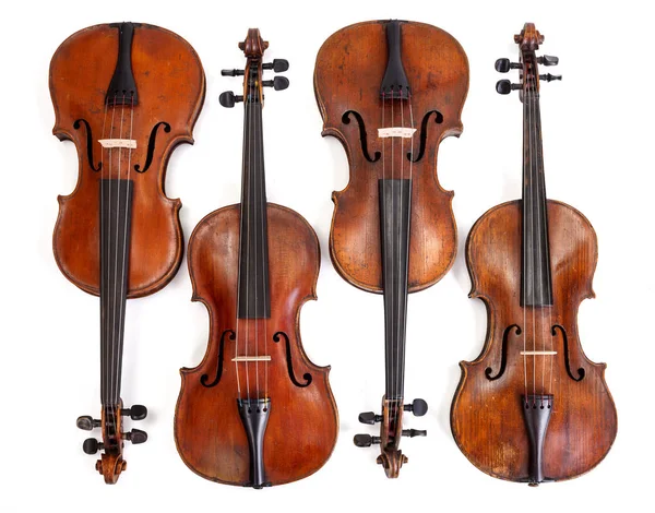 Top View Old Violin Collection White Background — Stock Photo, Image