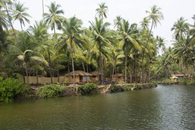 Plaj kulübe yanı sıra güzel lagün Cola Beach, Goa, Hindistan