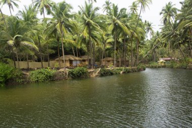 Plaj kulübe yanı sıra güzel lagün Cola Beach, Goa, Hindistan