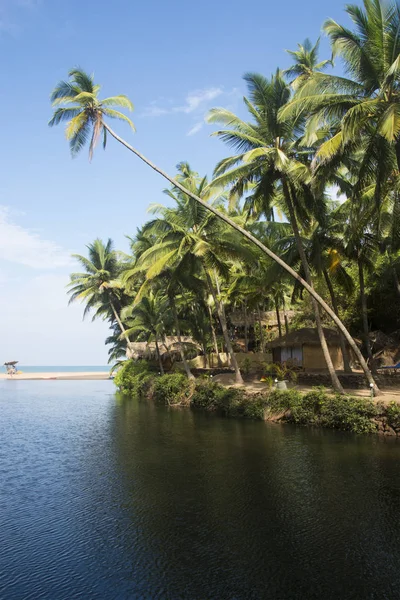 Uma Vista Lagoa Mar Árabe Cola Beach Goa Índia — Fotografia de Stock