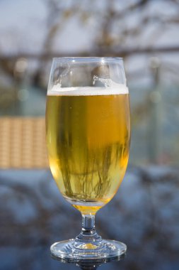 Bir Masada Chilled Bira Outdoors Bir Bardak 