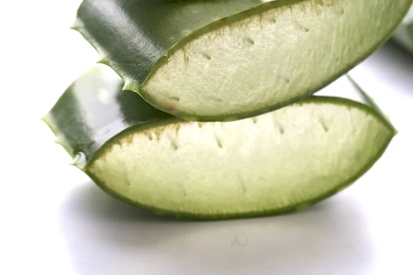 Närbild Aloe Vera Skiva Vit Bakgrund — Stockfoto