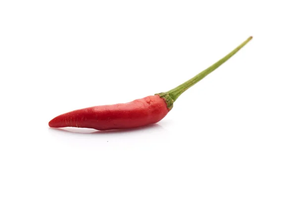 Rode Hete Chili Peper Geïsoleerd Witte Achtergrond — Stockfoto