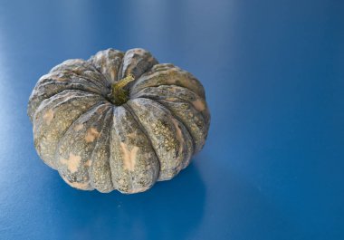 Cadılar Bayramı Şükran yeşil kabak mavi renkli düz üzerinde yatıyordu