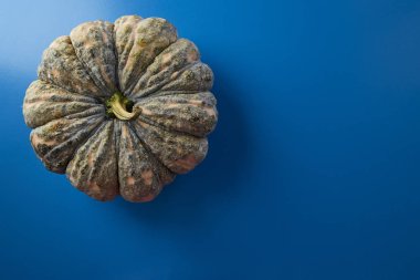 Cadılar Bayramı Şükran yeşil kabak mavi renkli düz üzerinde yatıyordu