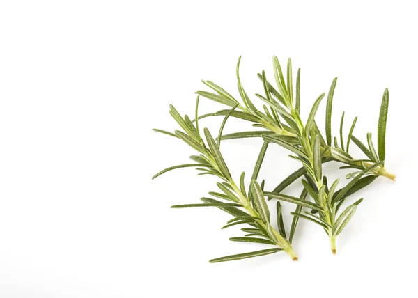 Fresh Three Rosemary Isolated White Background Top View — Stock Photo, Image