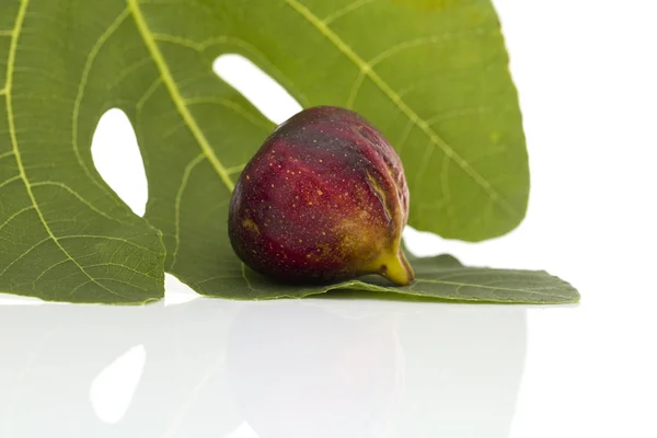 Figs with leaves on the white background. Martineca Rimada Fig