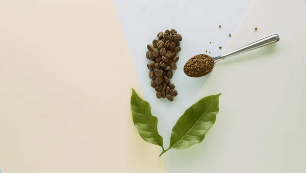 コーヒー豆とコーヒーの葉とグラニュー コーヒー紙青に黄 緑のパステル カラーの背景 食品フラット レイアウト コンセプト最小限背景 — ストック写真