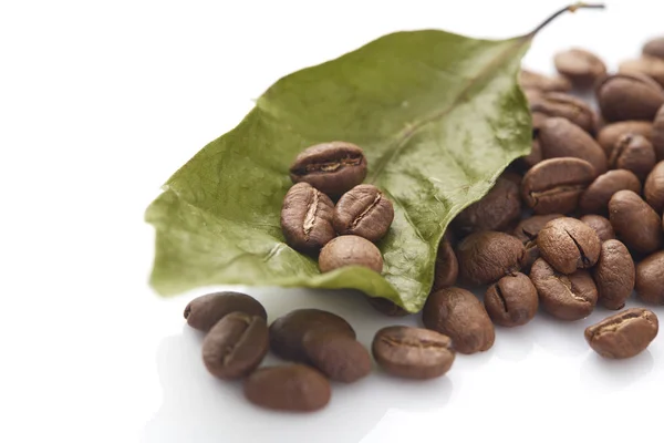 Coffee beans with coffee leaves on white background, Photo concept Autumn Graphics