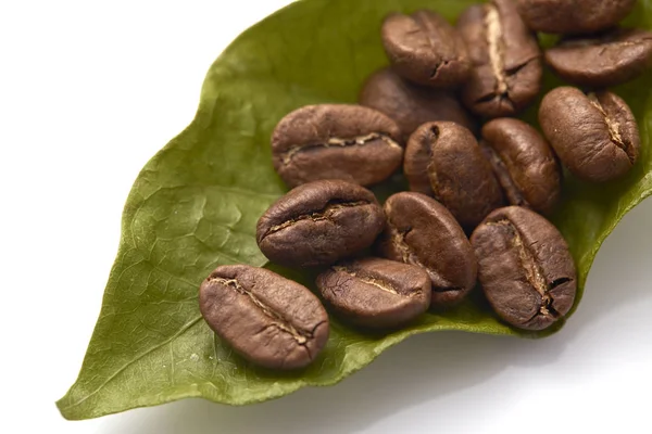 Kaffeebohnen Mit Kaffeeblättern Auf Weißem Hintergrund Fotokonzept Herbstgrafik — Stockfoto