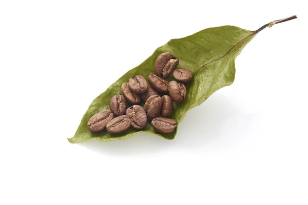 Coffee Beans Coffee Leaves White Background Photo Concept Autumn Graphics — Stock Photo, Image