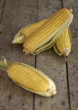 Mısır sarı altın yaz ahşap masa closeup, tarih gün güneş ışığı en iyi görünümü üzerinde organik.