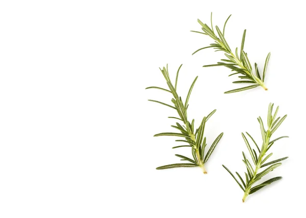 Fresh Three Rosemary Isolated White Background Top View — Stock Photo, Image