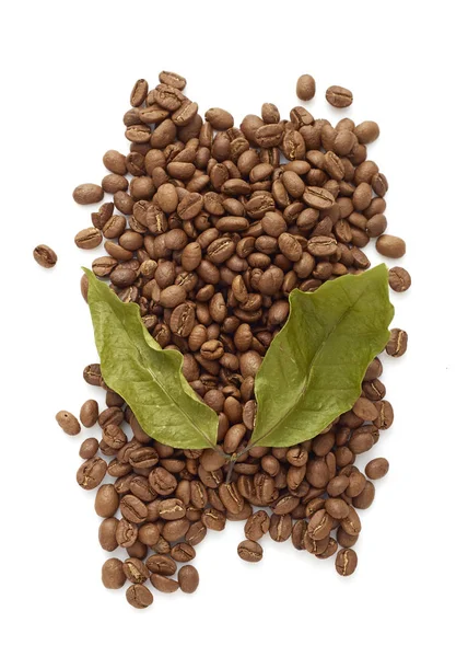 Szemes Kávé Kávé Levelek Fehér Háttér Fénykép Koncepció Őszi Képek — Stock Fotó