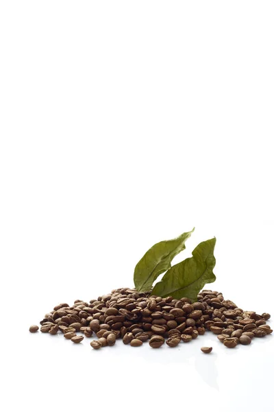 Kaffeebohnen Mit Kaffeeblättern Auf Weißem Hintergrund Fotokonzept Herbstgrafik — Stockfoto