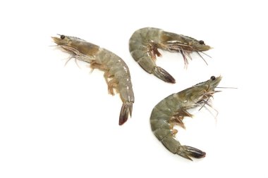 Üç kaplan kaplan karides raw ve taze deniz beyaz arka plan üzerinde küçük bir görüntüsünü Prawns