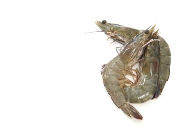 Üç kaplan kaplan karides raw ve taze deniz beyaz arka plan üzerinde küçük bir görüntüsünü Prawns