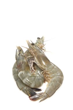 Üç kaplan kaplan karides raw ve taze deniz beyaz arka plan üzerinde küçük bir görüntüsünü Prawns