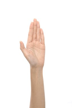 Beyaz arka planda, el yakın çekim izole beş parmak gösterilen kadın el