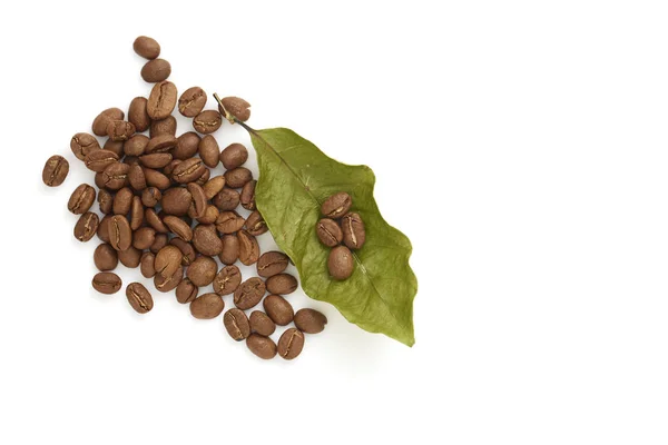 Kaffeebohnen Mit Kaffeeblättern Auf Weißem Hintergrund Fotokonzept Herbstgrafik — Stockfoto