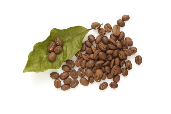 咖啡豆与咖啡叶子在白色背景 相片概念秋天图片 — 图库照片