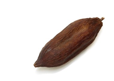 Kurutulmuş kakao Pod meyve beyaz arka planda, yakın çekim