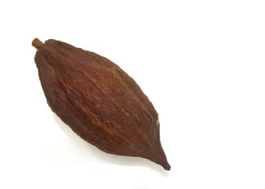 Kurutulmuş kakao Pod meyve beyaz arka planda, yakın çekim