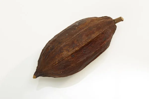 Getrocknete Kakaofrüchte Auf Weißem Hintergrund Nahaufnahme — Stockfoto