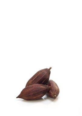 Beyaz bir arka plan üzerinde izole üç taze kakao bakla