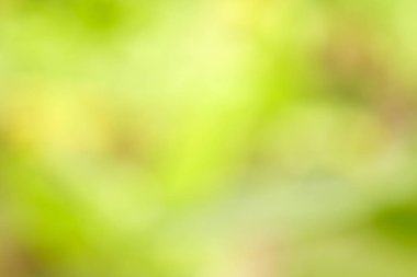 Yeşil Bokeh doğa arka plan, bulanık görüntü Bahçe