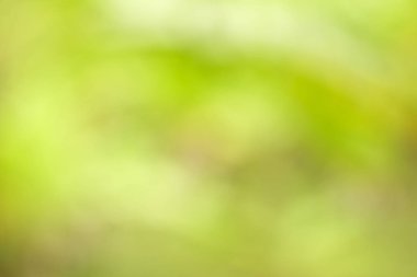 Yeşil Bokeh doğa arka plan, bulanık görüntü Bahçe