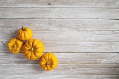 Sonbahar afiş Turuncu kabak beyaz grunge arka plan üzerinde izole yapılmış. Sonbahar, Cadılar Bayramı ve Şükran kavramı. Tarz düz Fotoğraf yatıyordu. Üstten görünüm. Boş alan