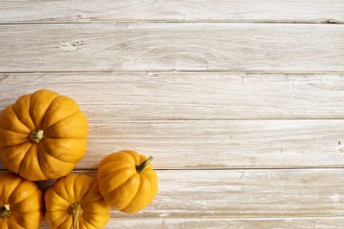 Yüksek açı natürmort sonbahar dekoratif kabaklar ve su kabakları. Kopya alanı, bir beyaz tahta masada yatay biçim Cadılar Bayramı ve Şükran kavramı