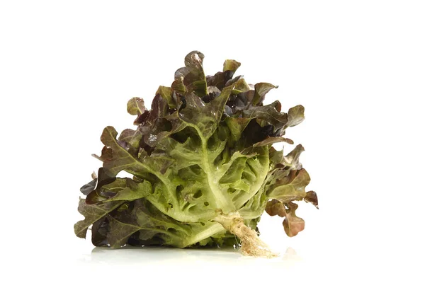 Zöldség Hogy Saláta Fehér Háttér Egészséges Élelmiszer Koncepció — Stock Fotó