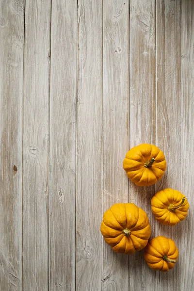 Bannière Automne Composée Citrouilles Orange Isolées Sur Fond Grunge Blanc — Photo