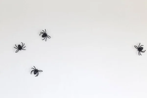 Wielki Czarny Zabawki Pająki Tle Białej Ściany Halloween Miejsce Płaskim — Zdjęcie stockowe