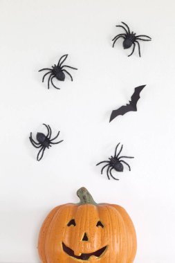 Cadılar Bayramı ev dekorasyonu kabak örümcekler ve beyaz duvar arka plan, en az kavramı, düz sopayı yatıyordu, üstten görünüm, doğal ışık