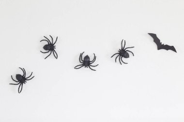 Cadılar Bayramı ev dekorasyonu ile örümcekler ve beyaz duvar arka plan, en az kavramı, düz sopayı yatıyordu, üstten görünüm, doğal ışık