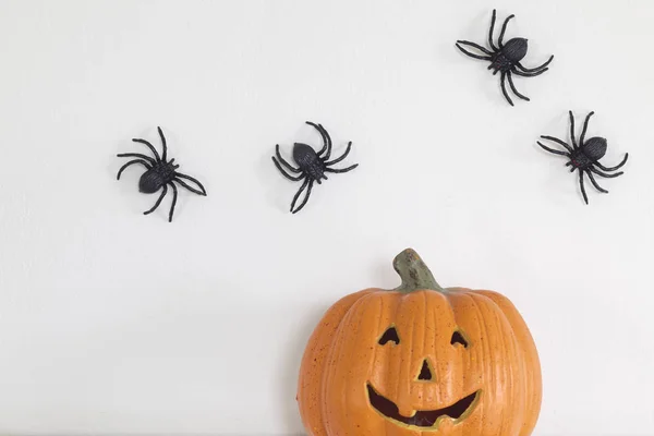 Decorazioni Casa Halloween Zucca Con Ragni Pipistrello Sfondo Bianco Parete — Foto Stock