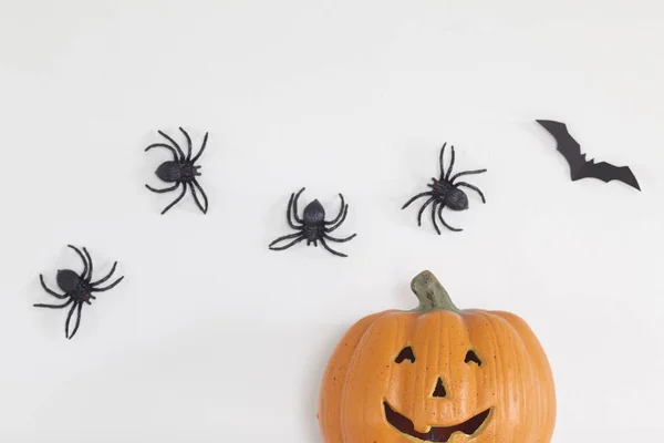 Decorazioni Casa Halloween Con Ragni Pipistrelli Sfondo Bianco Parete Concetto — Foto Stock