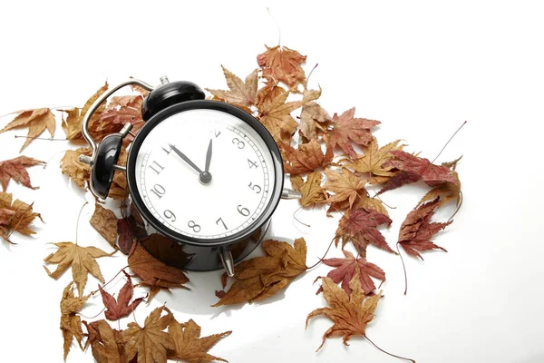 Image of autumn Time Change, Fall back concept, Dry leaves and vintage alarm Black Clock on wooden table outdoors at afternoon,for text