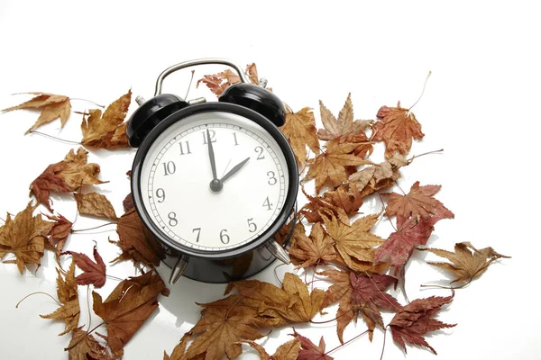 Εικόνα Του Φθινοπώρου Αλλαγή Ώρας Πτώση Πίσω Έννοια Ξερά Φύλλα — Φωτογραφία Αρχείου