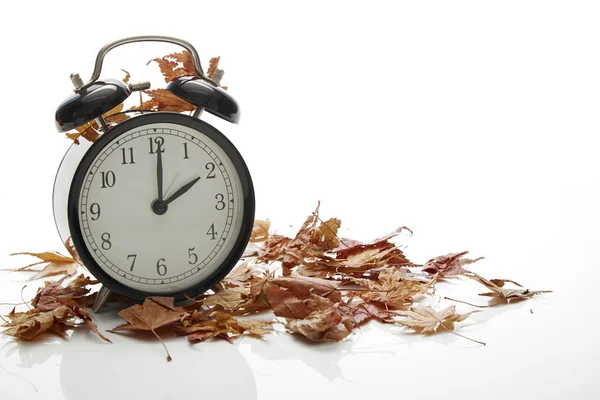 Imagen Otoño Cambio Hora Concepto Retroceso Hojas Secas Alarma Vintage — Foto de Stock