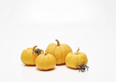 Turuncu halloween balkabağı beyaz duvar arka plan, gün ışığı, öğlen tasarımınız için üzerinde