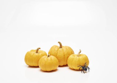 Turuncu halloween balkabağı beyaz duvar arka plan, gün ışığı, öğlen tasarımınız için üzerinde