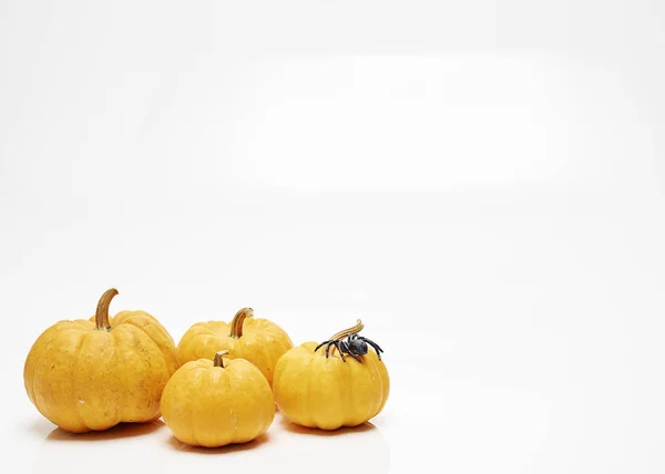 Orange Halloween Tököt Fehér Háttér Nap Délben Fény Design — Stock Fotó