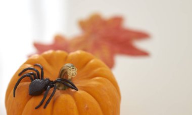 Sonbahar halloween pumpkins ahşap üzerinde