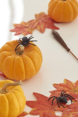 Sonbahar halloween pumpkins ahşap üzerinde