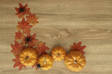 Pumpkin With Spider Autumn Thanksgiving Background, For the design clipart
